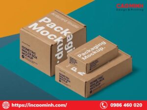 in hộp giấy carton