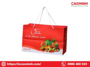 in túi giấy đựng hoa quả