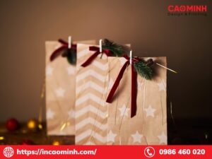 in tui giay qua tang 10